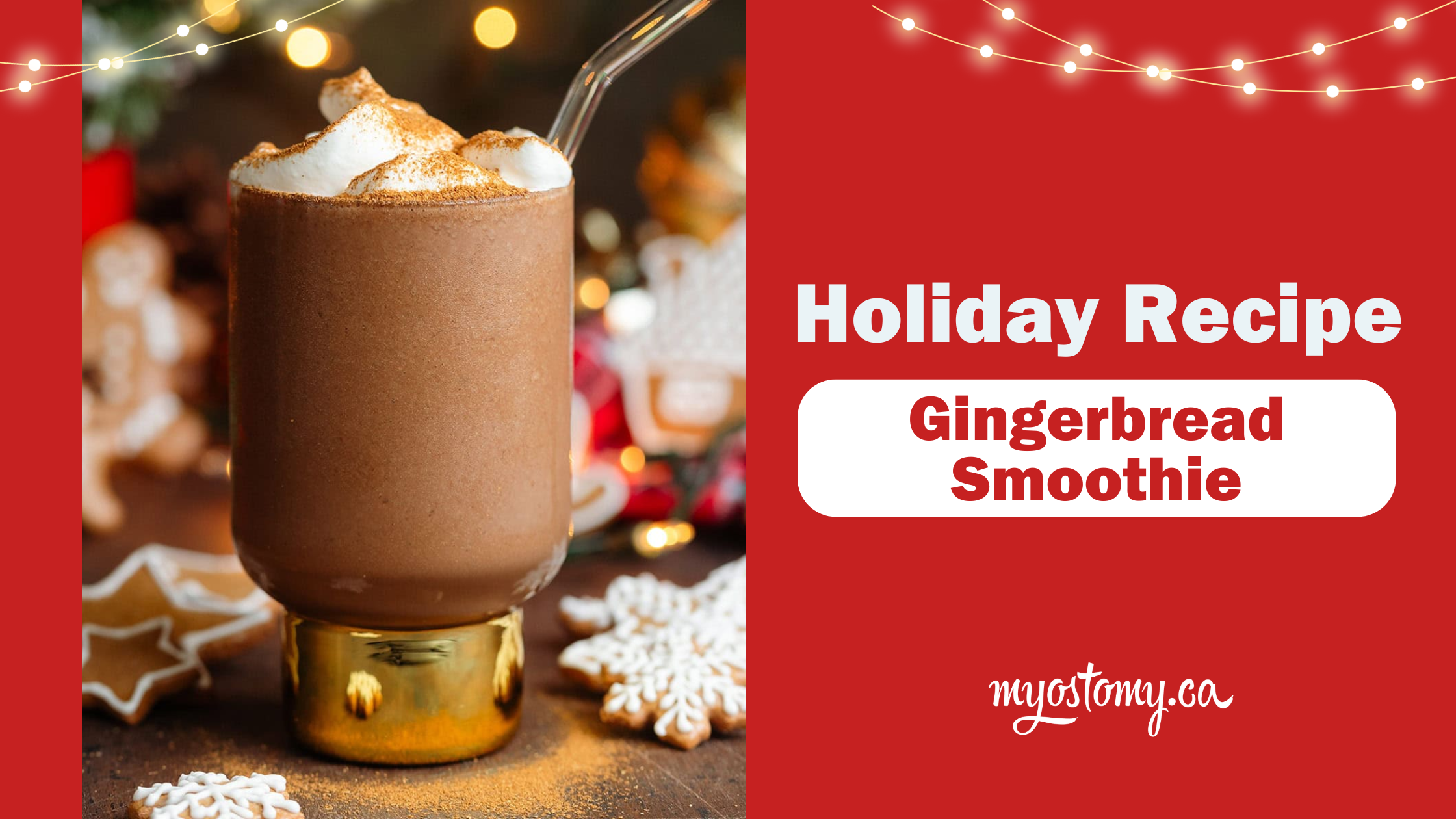 MyOstomy Holiday Recipe FiberCel Gingerbread Smoothie