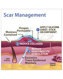 Biodermis Epi-Derm Silicone Gel Patch 2"x2.5" - Clear Gel (1 Pair per Package)-3