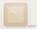 Molnlycke Mepilex Border Lite Foam Dressing 10CM X 10CM - (5/BOX)-1